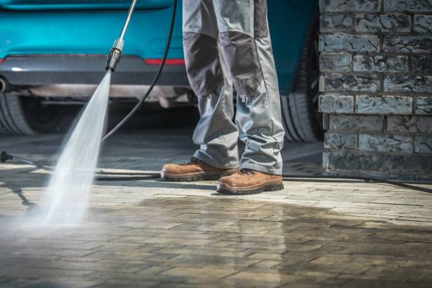 Best Pre-Holiday Cleaning  in Pittsboro, IN